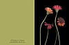 Small Note Card 4Daisies - Set of 5