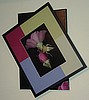 Flower Box, Purple Rose Cut with Color Tilt