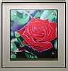 SOLD - Bolted Amazing Red Velvet Rose
