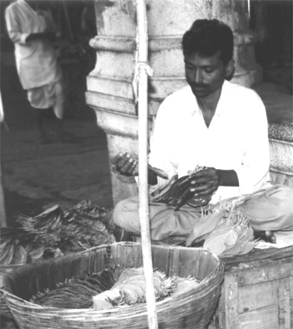 Tobacco Leaf Vendor BW