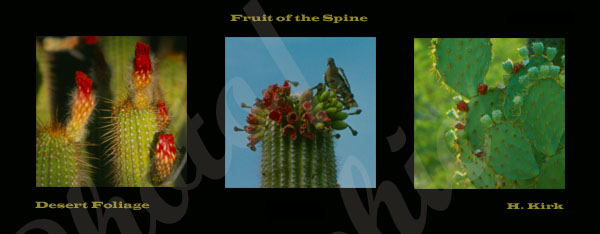 Fruit of the Spine