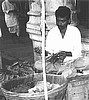 Tobacco Leaf Vendor BW