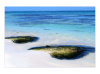 Two Seaweed Mounds on Punta Cana Resort Beach - Photo on Fine Art Natural  Paper - Image 13 x 19 / m
